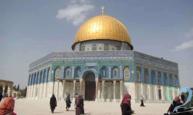 イスラエルでの人探しは現状の理解が必要！調査方法と相談窓口とは